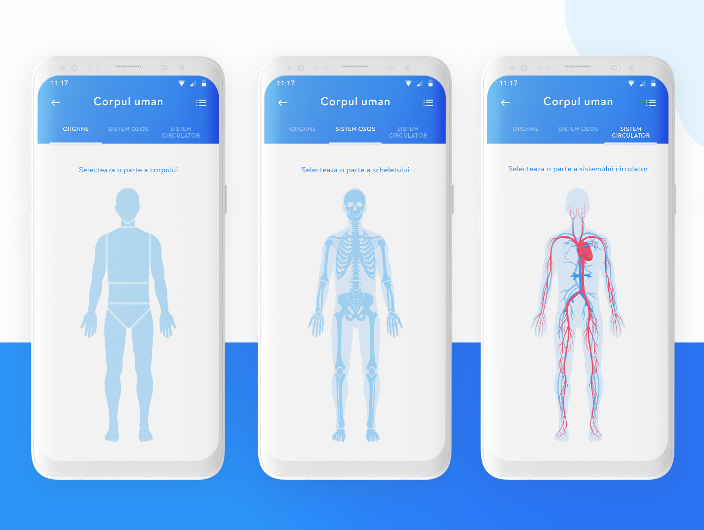 Human Body Representation